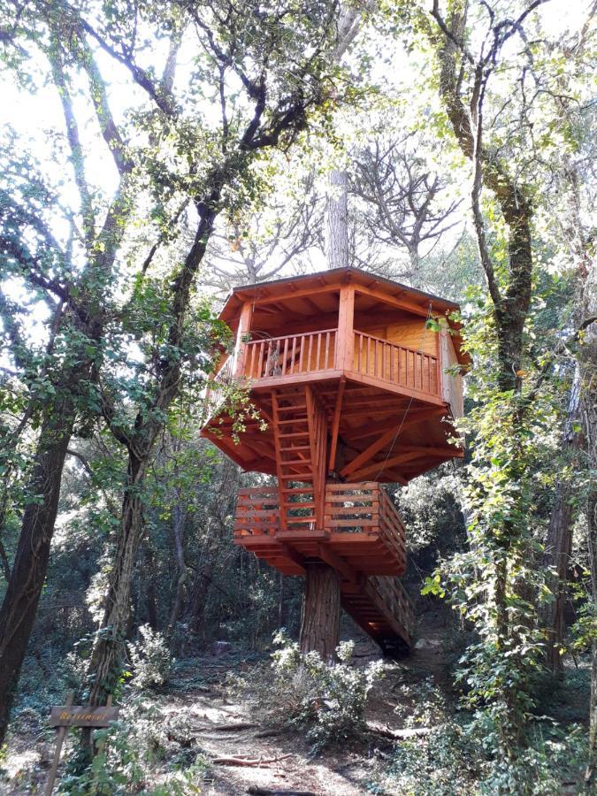 Cabanes Dosrius Canyamás Εξωτερικό φωτογραφία