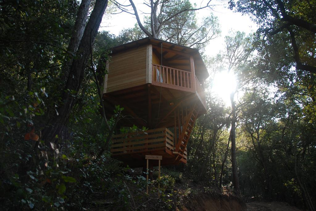 Cabanes Dosrius Canyamás Εξωτερικό φωτογραφία