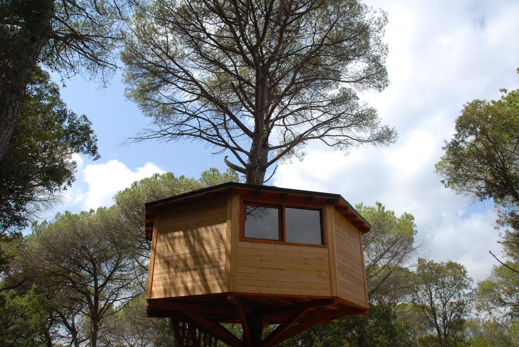 Cabanes Dosrius Canyamás Δωμάτιο φωτογραφία